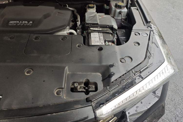 Used Tank 400 New Energy 2024 Hi4-T City Edition Engine Bay Left
