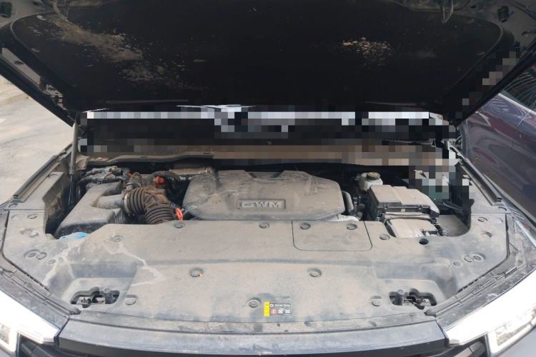 Used Tank 400 New Energy 2024 Hi4-T Off-Road Edition Engine Bay