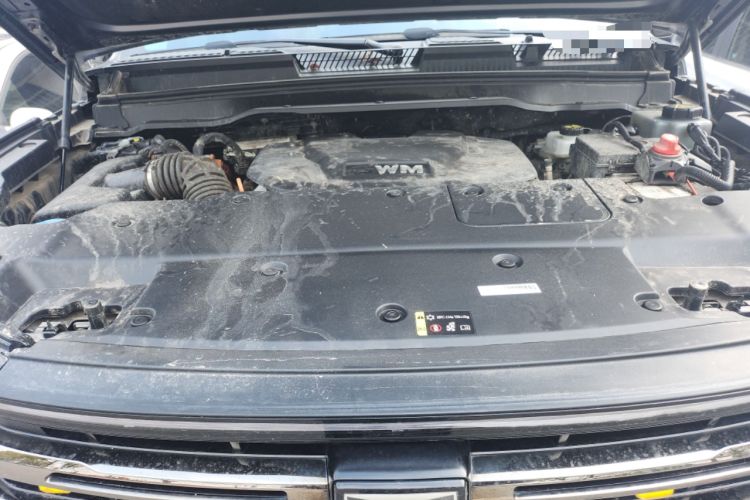 Used Tank 400 New Energy 2024 Hi4-T Off-Road Edition Engine Bay
