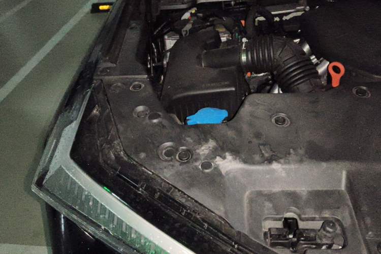 Used Tank 400 New Energy 2024 Hi4-T Off-Road Edition Engine Bay Right