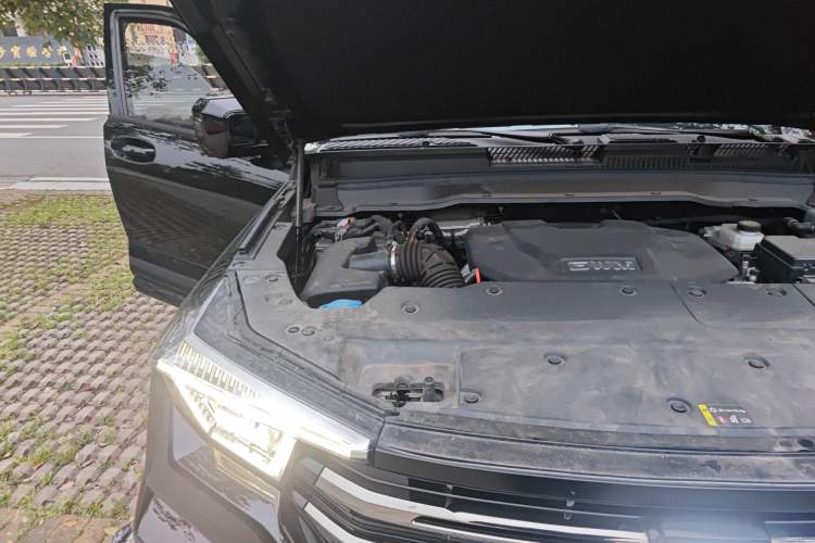 Used Tank 400 New Energy 2024 Hi4-T Off-Road Edition Engine Bay Right