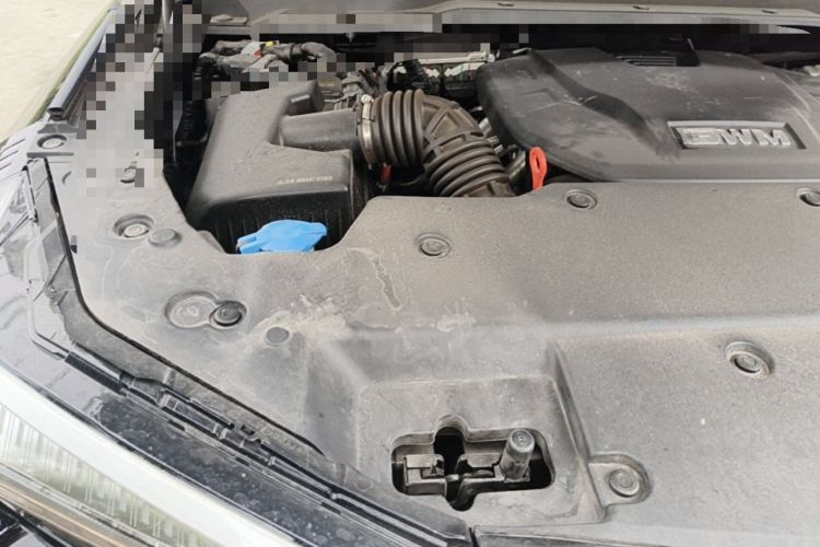 Used Tank 400 New Energy 2024 Hi4-T City Edition Engine Bay Right