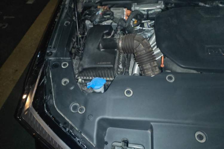 Used Tank 400 New Energy 2024 Hi4-T Off-Road Edition Engine Bay Right