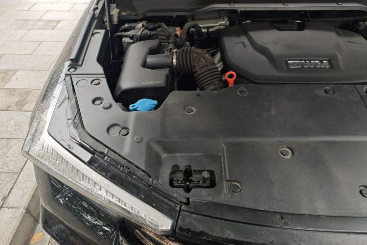 Used Tank 400 New Energy 2024 Hi4-T City Edition Engine Bay Right