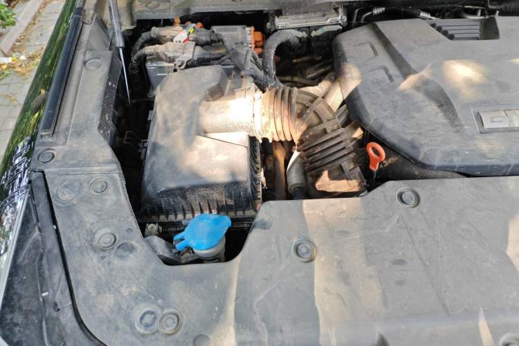 Used Tank 400 New Energy 2024 Hi4-T Off-Road Edition Engine Bay Right