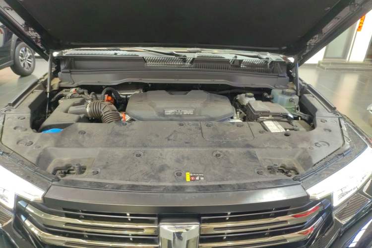 Used Tank 400 New Energy 2024 Hi4-T City Edition Engine Bay
