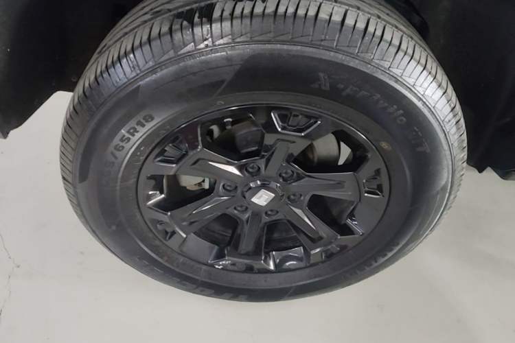 Used Tank 400 New Energy 2024 Hi4-T Off-Road Edition Exterior 5