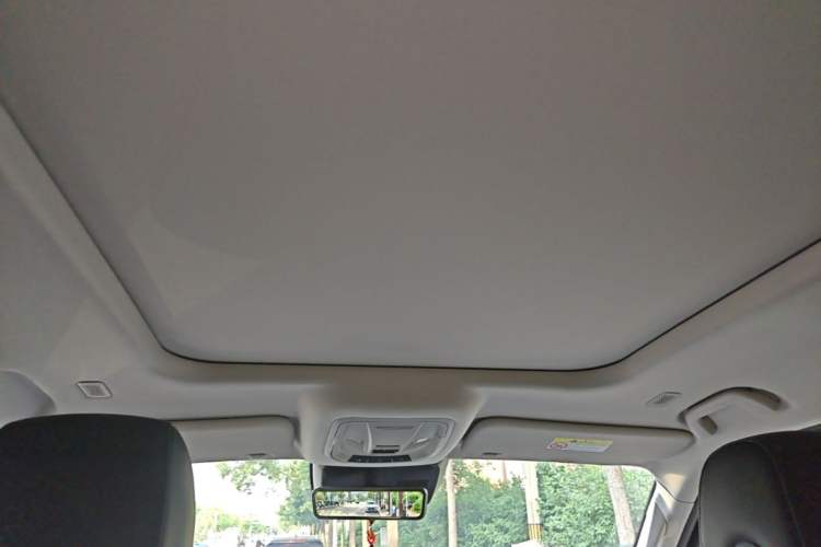 Used Tank 400 New Energy 2024 Hi4-T City Edition Headliner