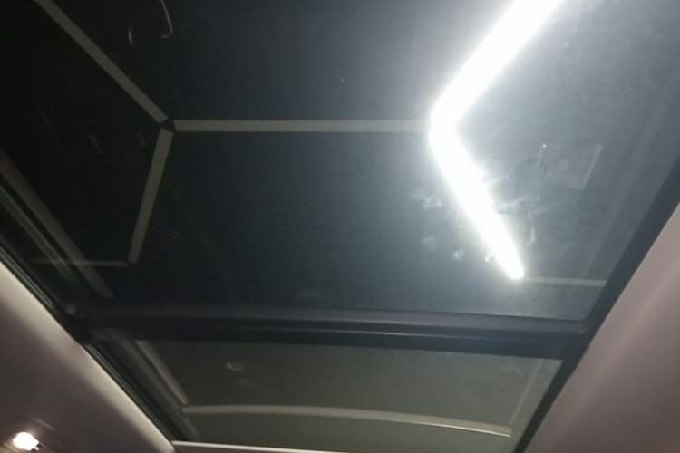 Used Tank 400 New Energy 2024 Hi4-T City Edition Headliner