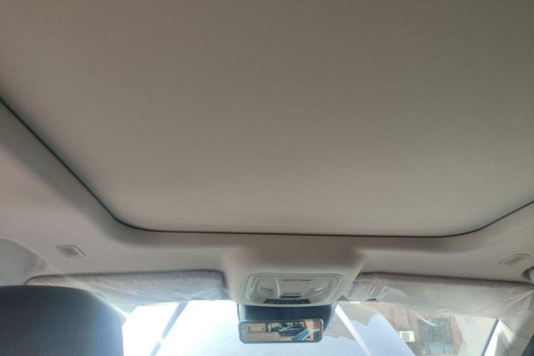Used Tank 400 New Energy 2024 Hi4-T Off-Road Edition Headliner