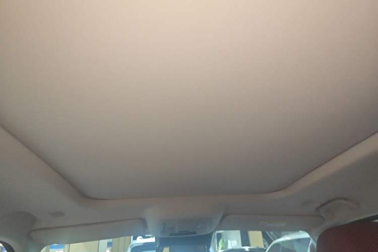 Used Tank 400 New Energy 2024 Hi4-T City Edition Headliner