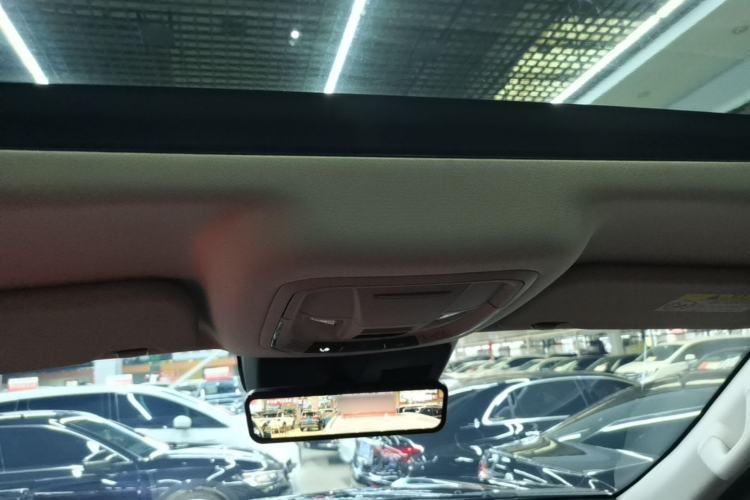 Used Tank 400 New Energy 2024 Hi4-T City Edition Headliner