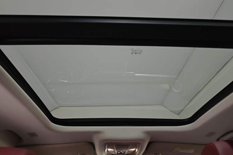 Used Tank 400 New Energy 2024 Hi4-T City Edition Headliner