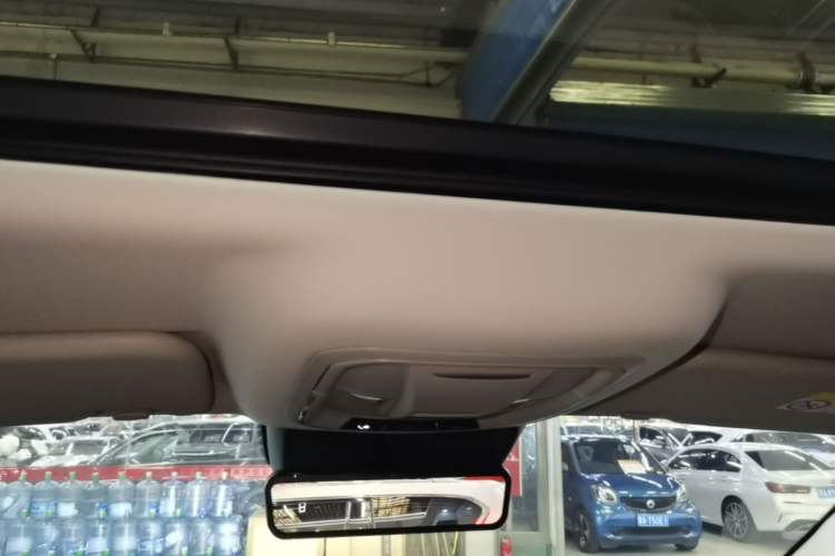 Used Tank 400 New Energy 2024 Hi4-T Off-Road Edition Headliner