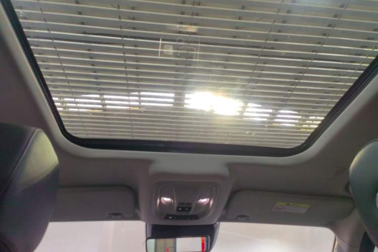 Used Tank 400 New Energy 2024 Hi4-T City Edition Headliner