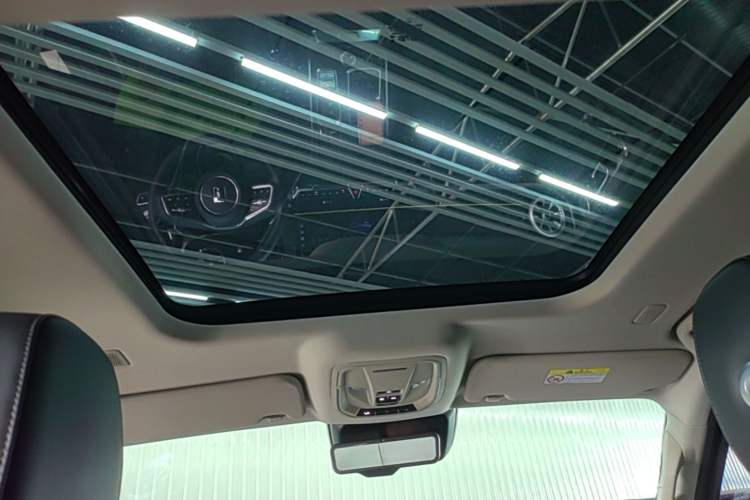 Used Tank 400 New Energy 2024 Hi4-T Off-Road Edition Headliner