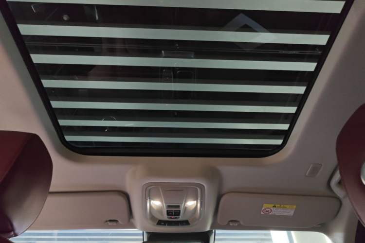 Used Tank 400 New Energy 2024 Hi4-T City Edition Headliner