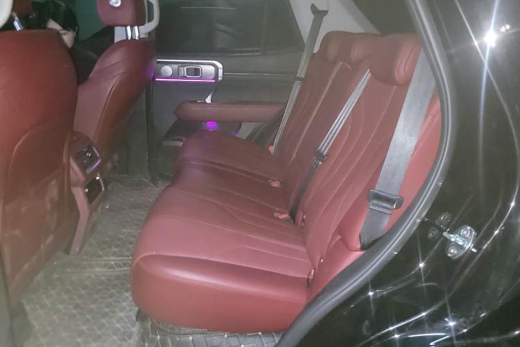 Used Tank 400 New Energy 2024 Hi4-T City Edition Left Rear Seat