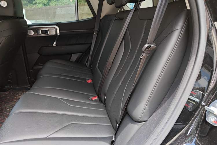 Used Tank 400 New Energy 2024 Hi4-T Off-Road Edition Left Rear Seat