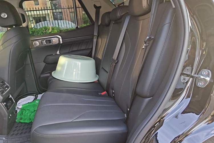Used Tank 400 New Energy 2024 Hi4-T City Edition Left Rear Seat