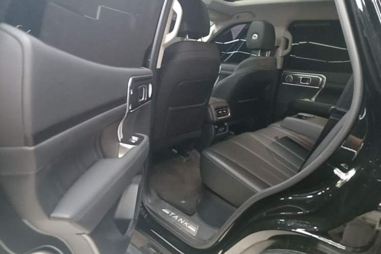 Used Tank 400 New Energy 2024 Hi4-T City Edition Left Rear Seat