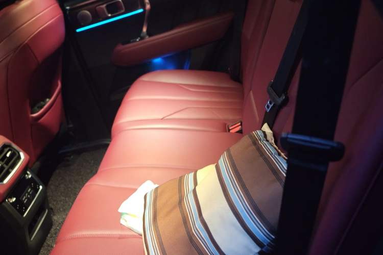 Used Tank 400 New Energy 2024 Hi4-T Off-Road Edition Left Rear Seat
