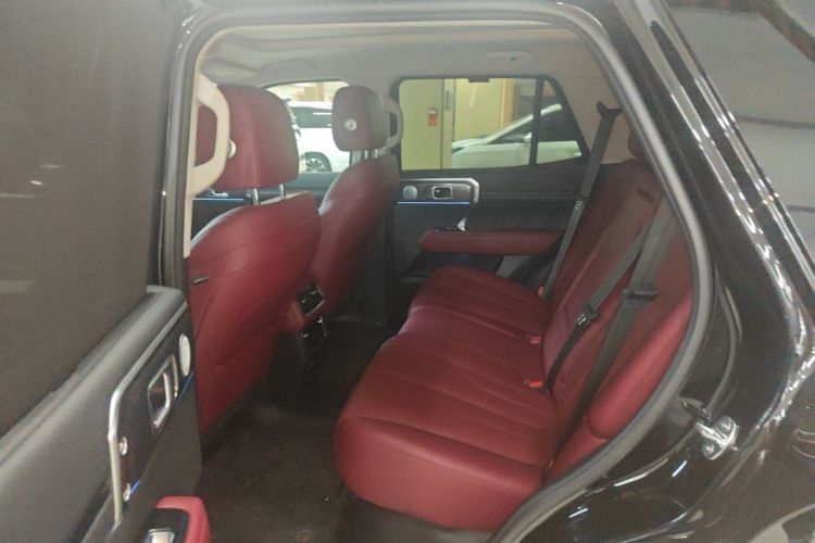 Used Tank 400 New Energy 2024 Hi4-T City Edition Left Rear Seat