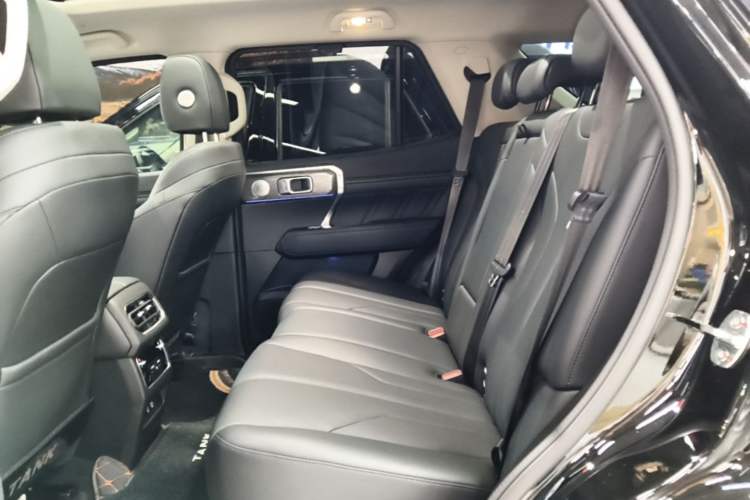 Used Tank 400 New Energy 2024 Hi4-T City Edition Left Rear Seat