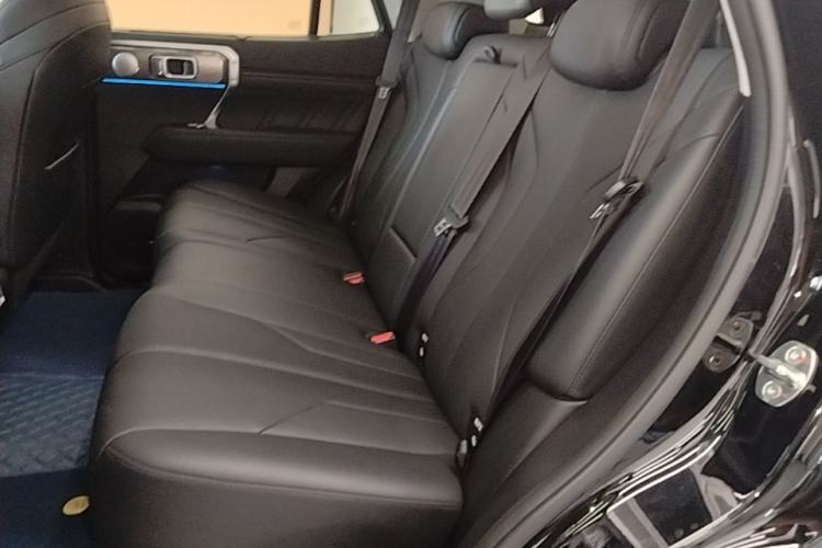 Used Tank 400 New Energy 2024 Hi4-T Off-Road Edition Left Rear Seat