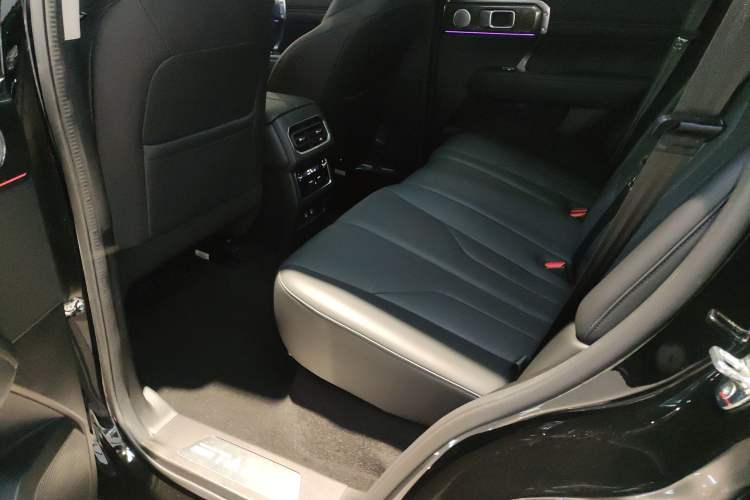 Used Tank 400 New Energy 2024 Hi4-T City Edition Left Rear Seat
