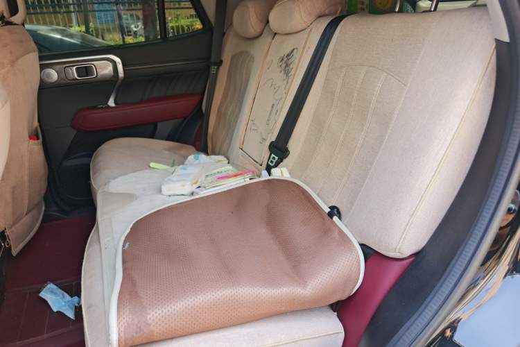 Used Tank 400 New Energy 2024 Hi4-T City Edition Left Rear Seat