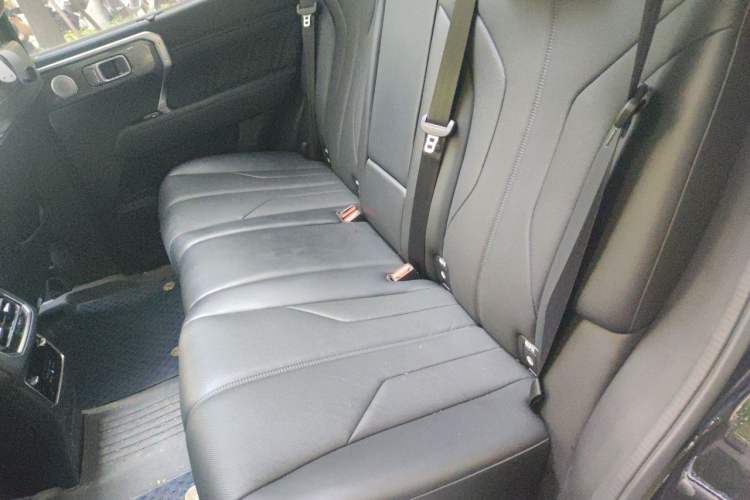 Used Tank 400 New Energy 2024 Hi4-T City Edition Left Rear Seat