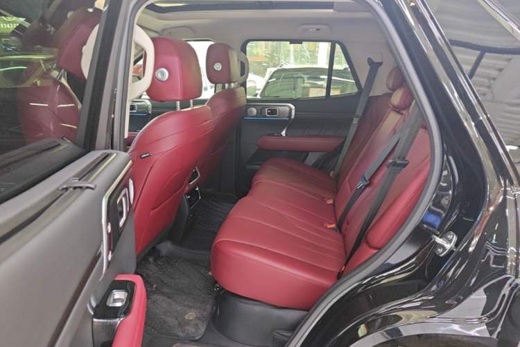 Used Tank 400 New Energy 2024 Hi4-T City Edition Left Rear Seat