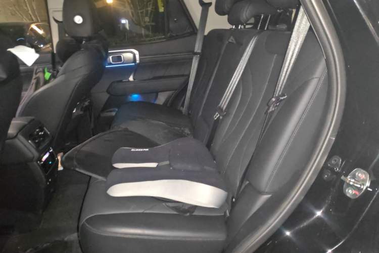 Used Tank 400 New Energy 2024 Hi4-T Off-Road Edition Left Rear Seat