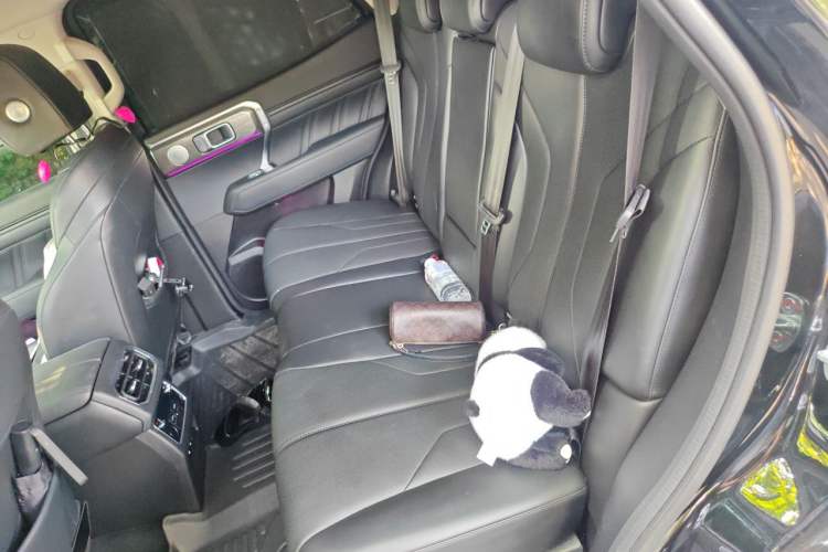 Used Tank 400 New Energy 2024 Hi4-T Off-Road Edition Left Rear Seat