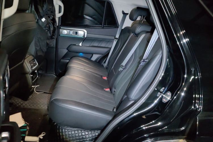 Used Tank 400 New Energy 2024 Hi4-T City Edition Left Rear Seat
