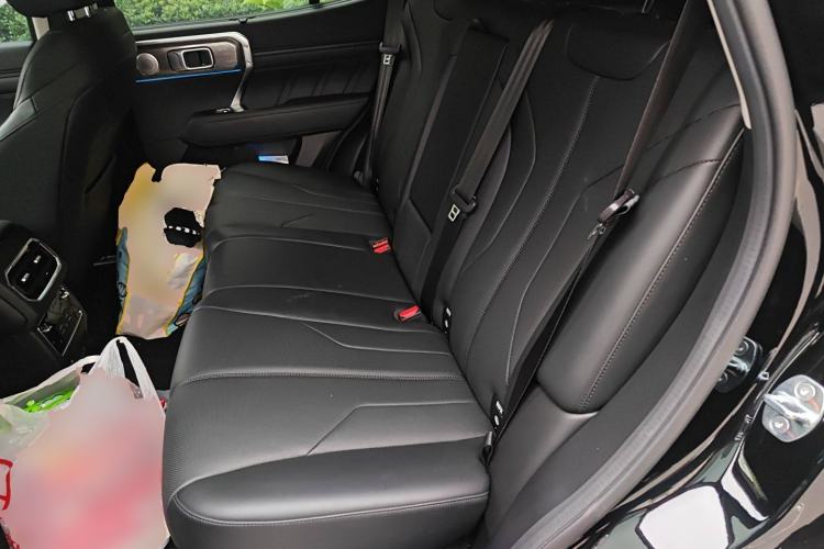 Used Tank 400 New Energy 2024 Hi4-T City Edition Left Rear Seat
