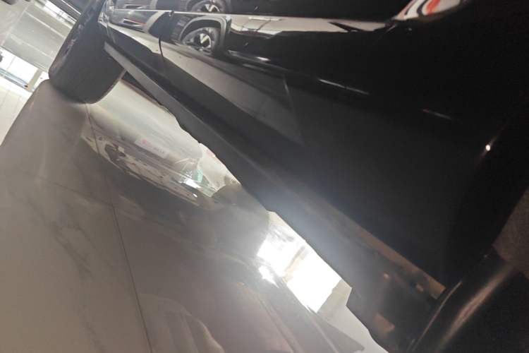 Used Tank 400 New Energy 2024 Hi4-T Off-Road Edition Left Side Sill