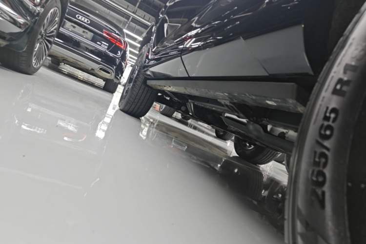 Used Tank 400 New Energy 2024 Hi4-T Off-Road Edition Left Side Sill