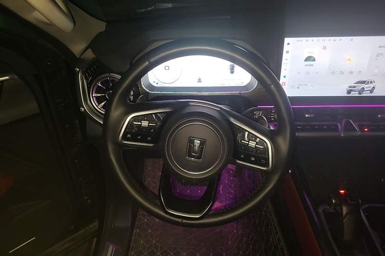 Used Tank 400 New Energy 2024 Hi4-T City Edition Steering Wheel