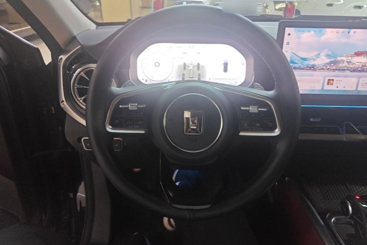 Used Tank 400 New Energy 2024 Hi4-T City Edition Steering Wheel