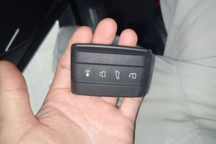 Used Tank 400 New Energy 2024 Hi4-T City Edition Vehicle Key