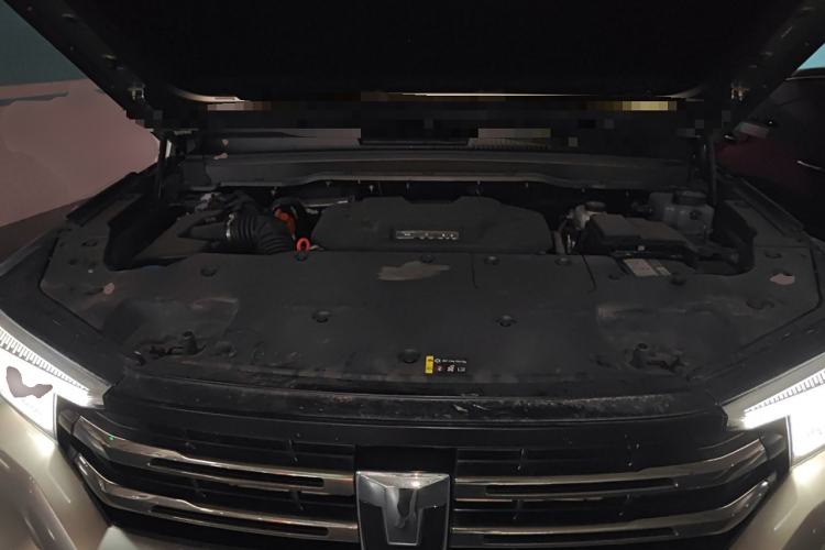 Used Tank 400 New Energy 2024 Hi4-T City Edition Engine Bay