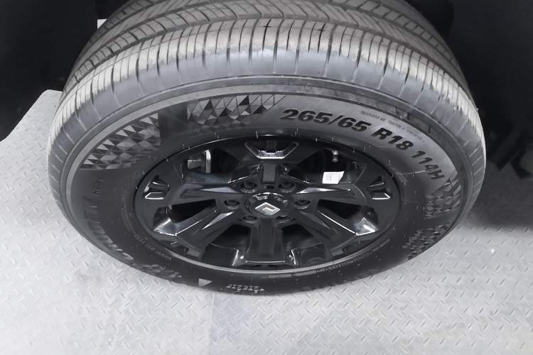 Used Tank 400 New Energy 2024 Hi4-T Off-Road Edition Exterior 4
