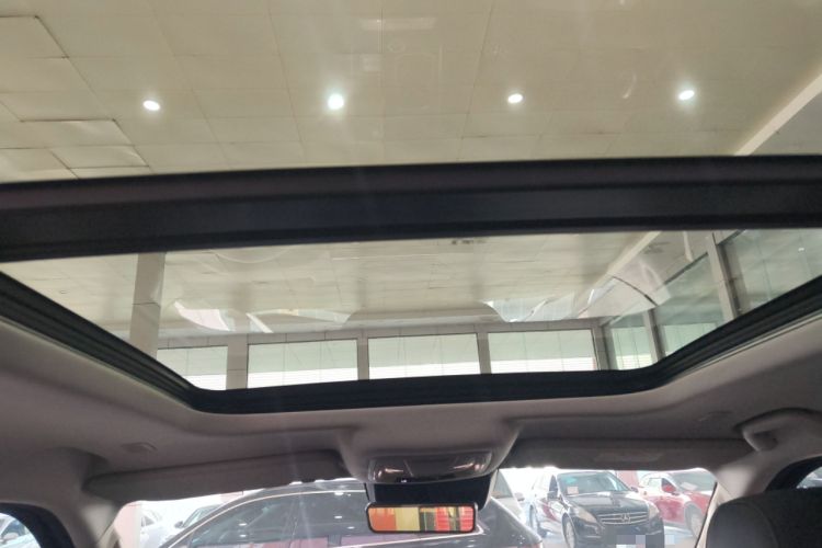 Used Tank 400 New Energy 2024 Hi4-T City Edition Headliner
