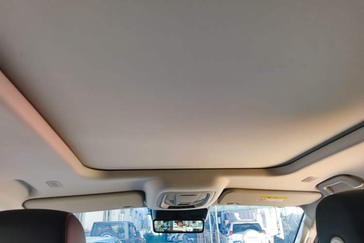 Used Tank 400 New Energy 2024 Hi4-T City Edition Headliner
