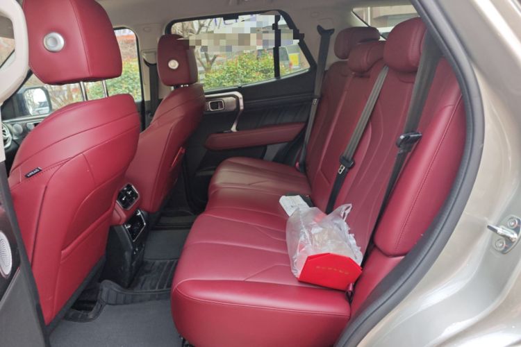 Used Tank 400 New Energy 2024 Hi4-T City Edition Left Rear Seat