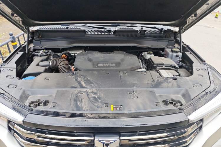 Used Tank 400 New Energy 2024 Hi4-T City Edition Engine Bay