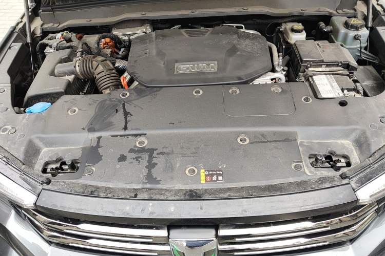 Used Tank 400 New Energy 2024 Hi4-T City Edition Engine Bay