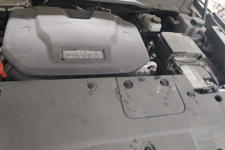 Used Tank 400 New Energy 2024 Hi4-T City Edition Engine Bay Left